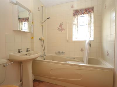 Picture 8